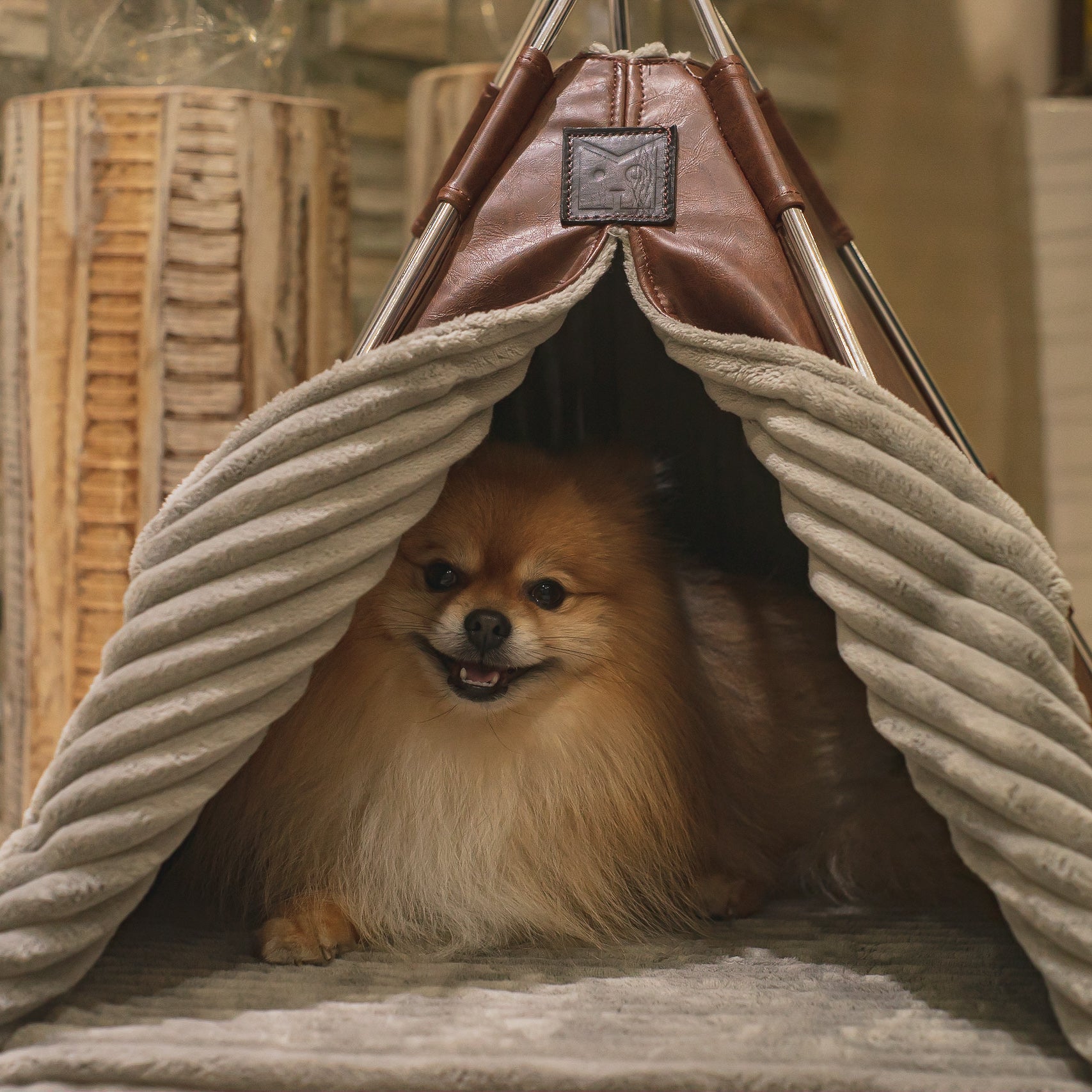 Amazing dog house