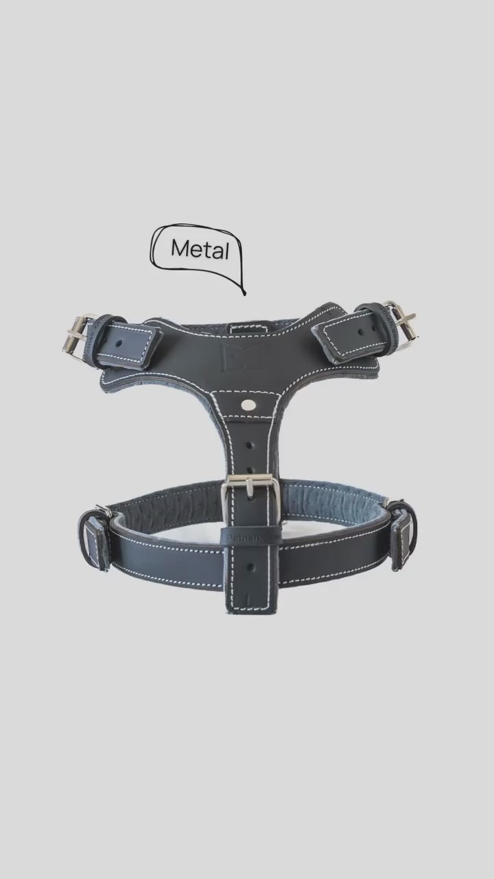 Lux Leather Harness, Shop the Best Dog Harness