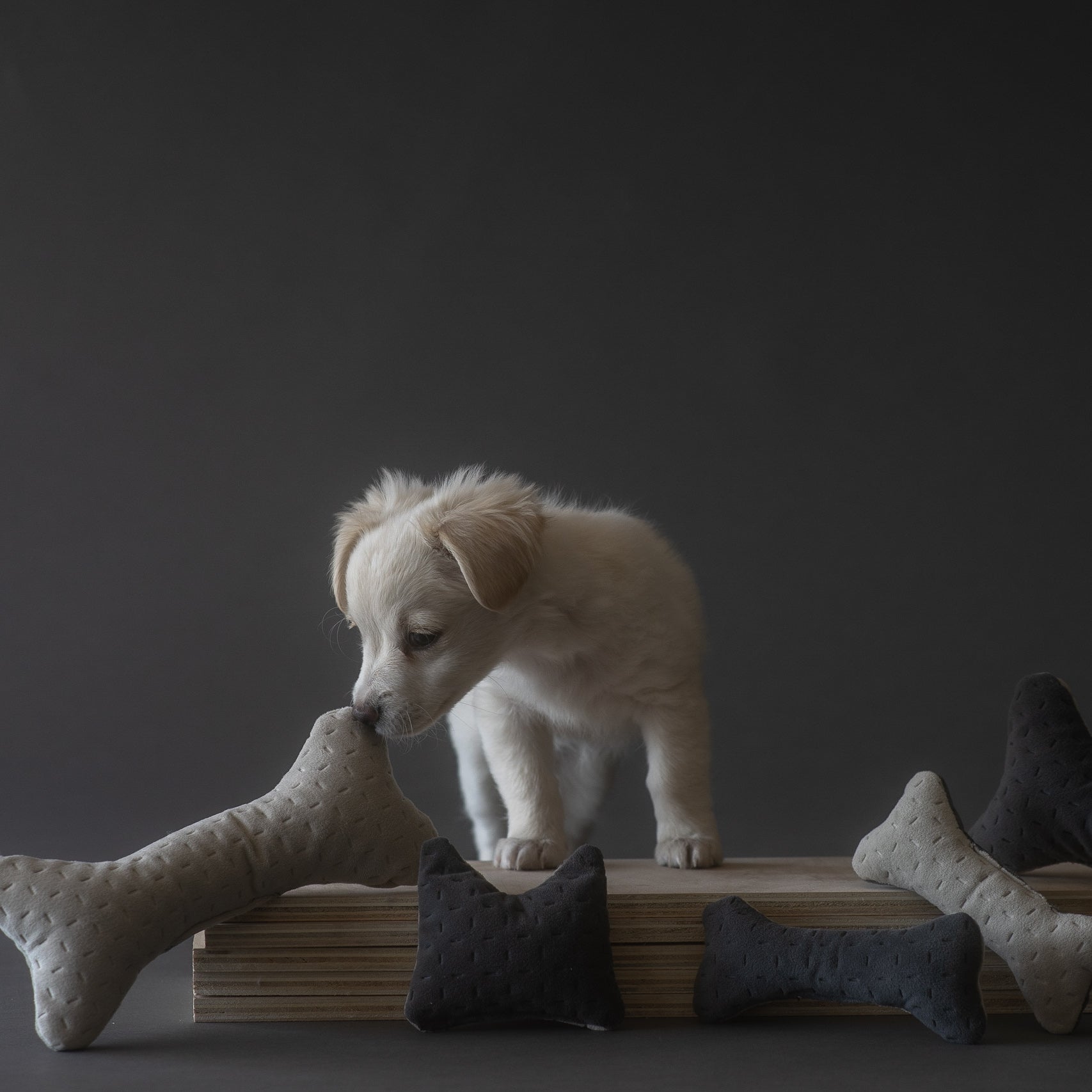 The soft Toys - Shop Bone-Shaped Toy for Dogs