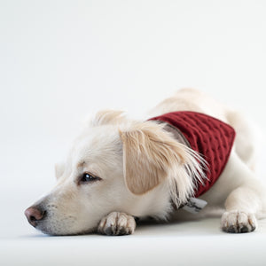 Lux Bandana, Stylish Reversible Bandana for Dogs