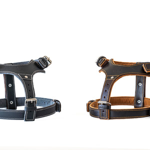 Lux Leather Harness - Shop the Best Dog Harness