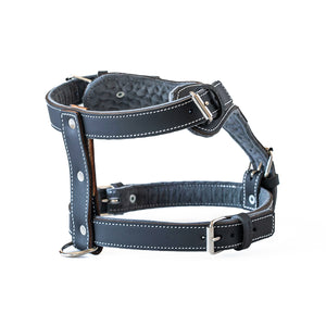 Lux Leather Harness